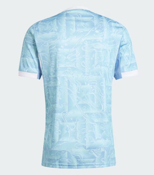 Juventus 25/26 Away Jersey